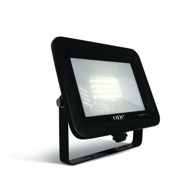 ONE Light AC LED Floodlights - projecteur - 20 x 2,5 x 16 cm - 30W LED incl. - IP65 - noir - couleur de lumière blanche