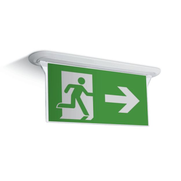 ONE Light Luminaire mural et de plafond de secours à LED Plexiglas - 33 x 20,5 cm - 1W LED incl - IP44 - blanc